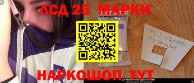 гашик Дубна