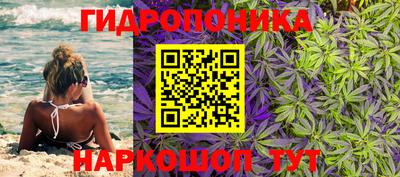 прущие грибы Донецк