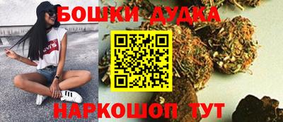 гашик Дубна