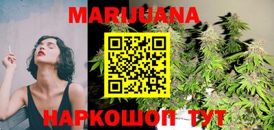 гашик Дубна