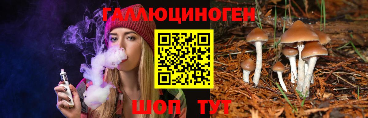 Галлюциногенные грибы мицелий Норильск
