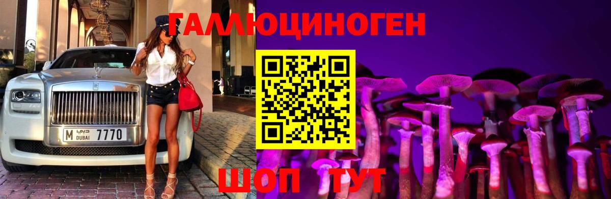 Галлюциногенные грибы Psilocybine cubensis  Вход с VPN  купить наркотики сайты  Норильск 